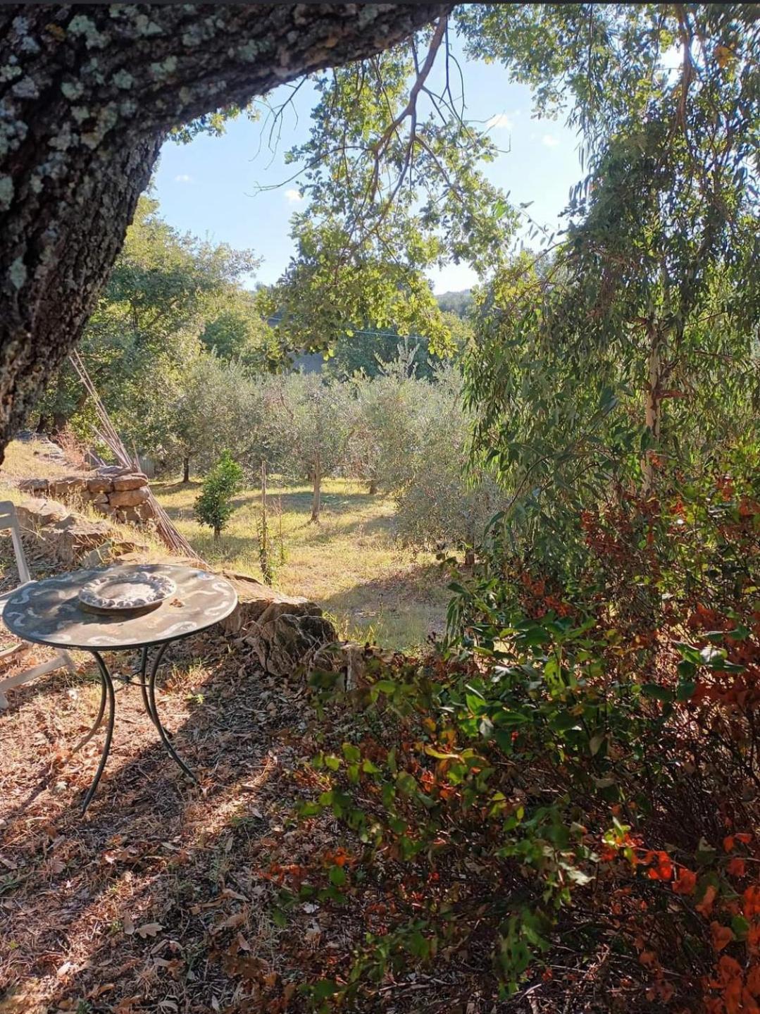 Casa In Maremma Leilighet Montemerano Eksteriør bilde