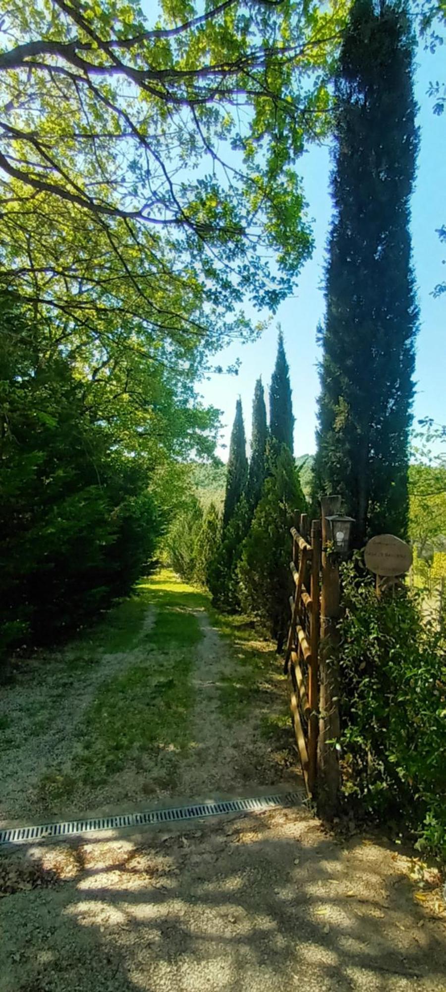 Casa In Maremma Leilighet Montemerano Eksteriør bilde