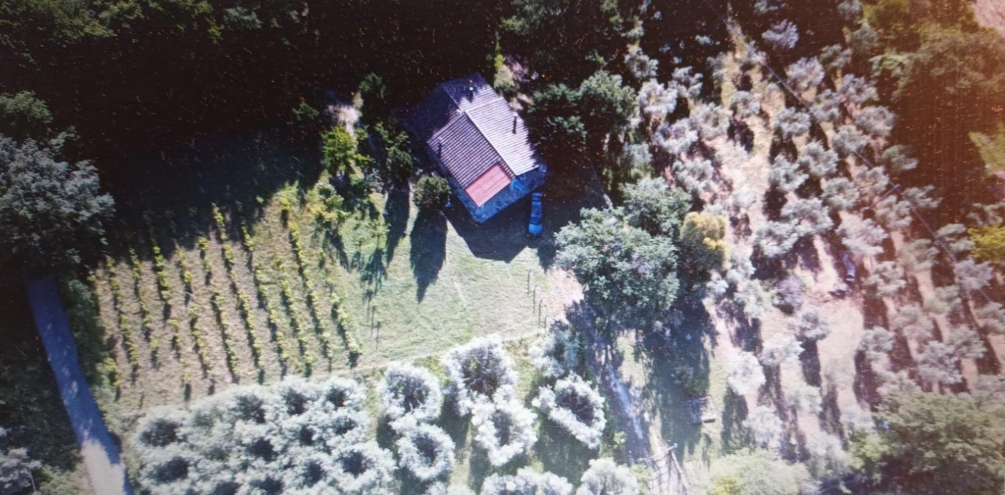 Casa In Maremma Leilighet Montemerano Eksteriør bilde